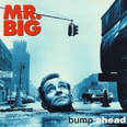 Bump Ahead - 1993