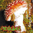 Fungus Amongus - 1995