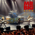 Mr. Big Live - 1992