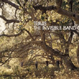 The Invisible Band - 2001